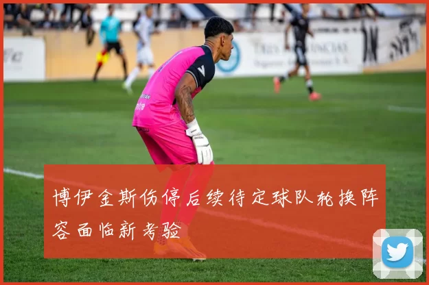 博伊金斯伤停后续待定球队轮换阵容面临新考验