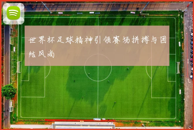 世界杯足球精神引领赛场拼搏与团结风尚