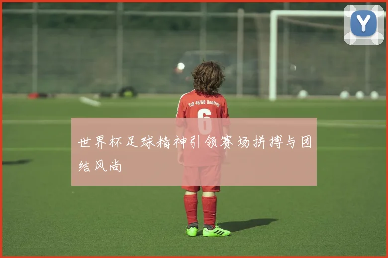 世界杯足球精神引领赛场拼搏与团结风尚